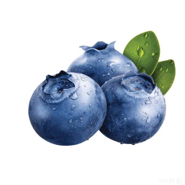 אוכמניות כ 1 יחידות', ₪29.9 / יחידה
